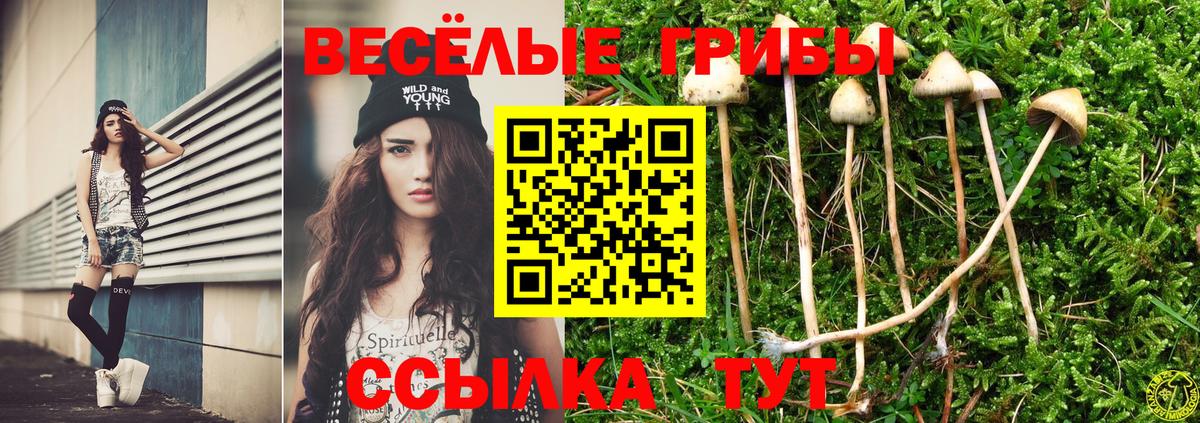 Галлюциногенные грибы GOLDEN TEACHER  Вход с VPN  где купить наркотик  Галлюциногенные грибы Psilocybine cubensis  Железногорск 