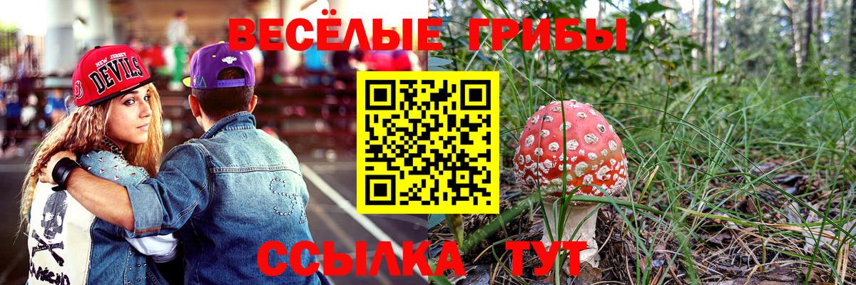 Галлюциногенные грибы мухоморы Железногорск